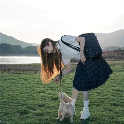 奇怪的猫咪